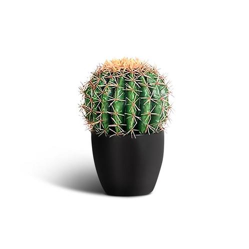 IvoQ Kunst Cactus 25 cm - Realistische Nep Cactus - Onderhou, Huis en Inrichting, Woonaccessoires | Kunstplanten en Kunstbloemen