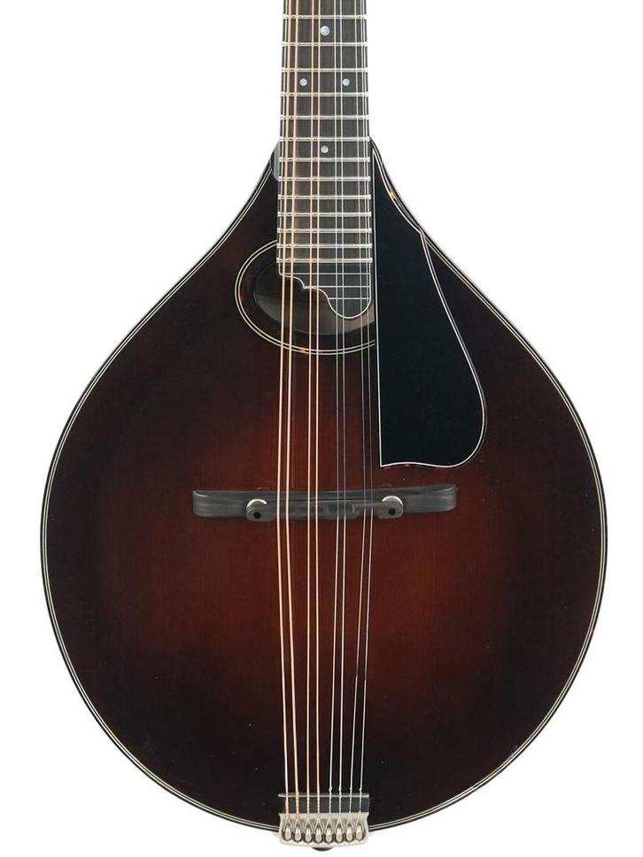 Northfield NFMSP A4 Special Alpine Spruce Icelandic Brown, Muziek en Instrumenten, Snaarinstrumenten | Mandolines, Nieuw, Ophalen of Verzenden