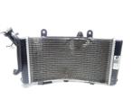 BMW F 750 GS Radiateur / Expansietank / Ventilatoromlijsting, Motoren, Gebruikt