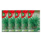 Bieslookzaad | VT | 5 stuks (Chinese), Verzenden