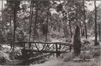 DRIEBERGEN - Bosgezicht, Verzenden, Gelopen