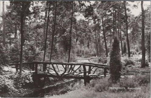 DRIEBERGEN - Bosgezicht, Verzamelen, Ansichtkaarten | Nederland, Verzenden