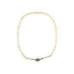 Zonder Minimumprijs - Halsketting - 18 karaat Witgoud Parel, Nieuw