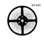 5 meter daglicht led strip - 120Leds/m - 24V - 2835, Hobby en Vrije tijd, Elektronica-componenten, Ophalen of Verzenden, Nieuw