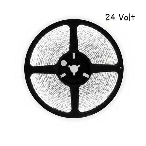 5 meter daglicht led strip - 120Leds/m - 24V - 2835, Hobby en Vrije tijd, Elektronica-componenten, Nieuw, Ophalen of Verzenden