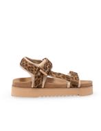 Maruti sandalen dames 37 bruin, Kleding | Dames, Maruti, Verzenden, Nieuw, Bruin
