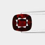 Rood Spinel - 4.07 ct - International Gemological Institute, Nieuw