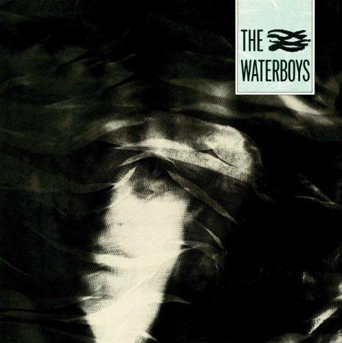 lp nieuw - The Waterboys - The Waterboys, Cd's en Dvd's, Vinyl | Rock, Zo goed als nieuw, Verzenden