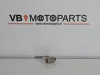 Lamp E10 12V 3W, Motoren, Ophalen of Verzenden, Nieuw