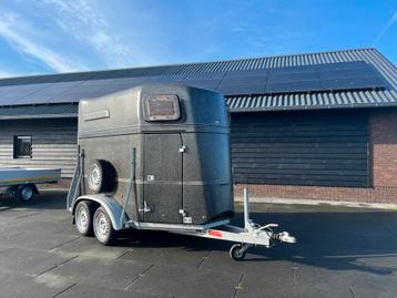 Bockmann Comfort 2 - paard`s trailer met alu bodem en ZK !! beschikbaar voor biedingen