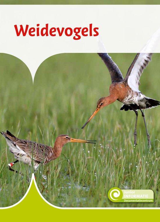 9789086648849 Junior Informatie 115 - Weidevogels, Boeken, Schoolboeken, Zo goed als nieuw, Verzenden