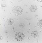 Statisch raamfolie, glasfolie, vruchtpluis (45cm), Nieuw