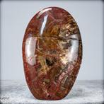 Vrije vorm van versteend hout handgepolijst- 2271.22 g, Nieuw