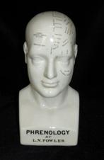 Hoofd ornament - Model Phrenology Hoofd - Dr. L.N.Fowler, Antiek en Kunst