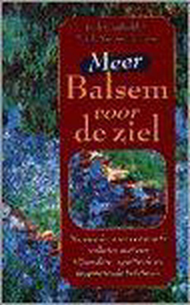 Meer balsem voor de ziel 9789022522820 Jack Canfield, Boeken, Esoterie en Spiritualiteit, Gelezen, Verzenden