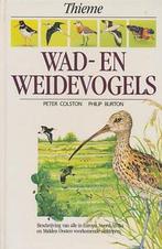 Wad- en weidevogels 9789052100111 Philip Burton, Boeken, Gelezen, Philip Burton, Peter Colston, Verzenden