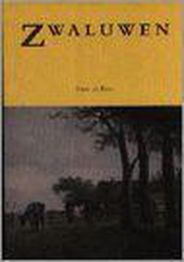 Zwaluwen 9789057860089 N. de Beer, Boeken, Romans, Gelezen, Verzenden