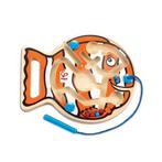 Hape magnetisch doolhof vis educati van €13,99 voor €11,19, Ophalen of Verzenden, Nieuw