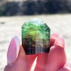 Gemmy Smaragdgroen Rood Toermalijn Chroom Kristal - Hoogte:, Verzamelen, Mineralen en Fossielen