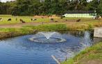 Krachtige fontein / vijverbeluchter, aanwinst voor de vijver, Tuin en Terras, Waterpartijen en Fonteinen, Nieuw, Kunststof, Fontein