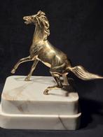 sculptuur, Equestrium cavallo sgroppante - 31 cm - Messing, Antiek en Kunst, Antiek | Keramiek en Aardewerk