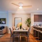 TRUUSK Plafondventilator Met Verlichting en Afstandsbedienin, Doe-het-zelf en Verbouw, Hout en Planken, Verzenden, Nieuw