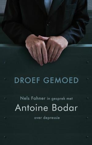 Droef gemoed 9789021144955 Nels Fahner, Boeken, Godsdienst en Theologie, Zo goed als nieuw, Verzenden