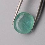 1 pcs Smaragd - 14.62 ct - Bellerophon Gemlab, Sieraden, Tassen en Uiterlijk, Edelstenen, Nieuw