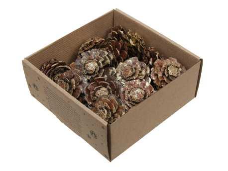 Dennenappel flower cut gold wash doosje 23st – perfect voor, Huis en Inrichting, Woonaccessoires | Kunstplanten en Kunstbloemen