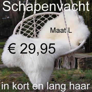 Schapenvacht XL WIT schapenhuid schapenvel € 29,95 GROTE XL beschikbaar voor biedingen