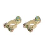 ProPlus Accupoolklemmen set - messing en staal - M8 bout..., Ophalen of Verzenden, Nieuw