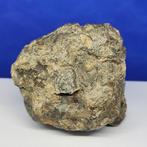 XL MUSEUM nieuw JIKHARRA 001 (Libië, 2022). EUCRITE