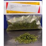 Spinazie - Globetrotter