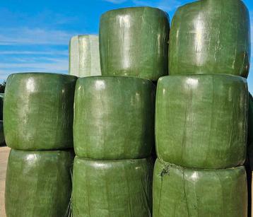 Luzerne silage balen, gesneden ruwvoer in ronde wikkelbalen,