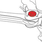 SPC Performance CASTER ADJ CAM KIT(PR), Ophalen of Verzenden, Nieuw