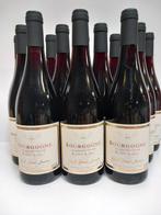 2020 Domaine paul henri lacroix Bourgogne Pinot Noir -, Nieuw