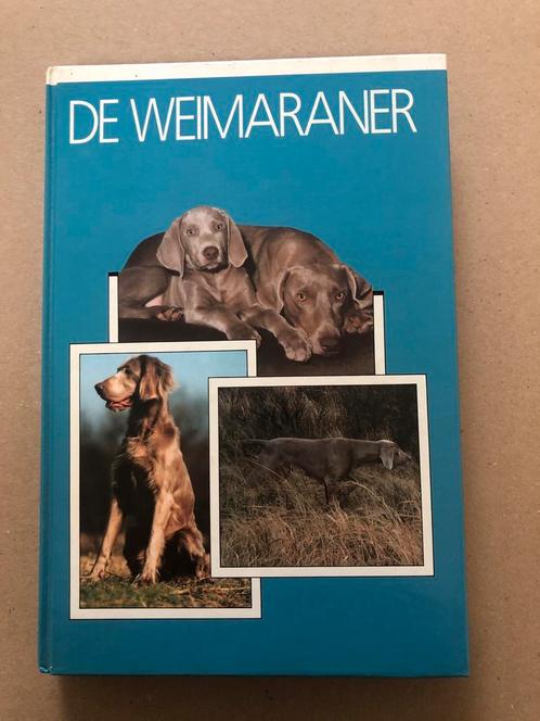 De Wiemaraner - Raskenmerken - Opvoeding - Training - NIEUW, Boeken, Dieren en Huisdieren, Zo goed als nieuw, Honden, Ophalen of Verzenden