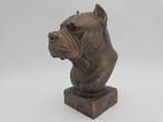 Bust of a Cane Corso dog statue - handpainted home decor dog, Verzenden, Nieuw