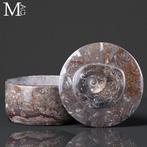 Ronde sieradendoos - fossiele matrix met ammoniet en