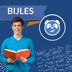 Wiskunde A begeleiding – Haarlem, Privéles, Bijles