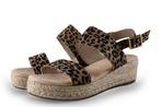 Dolcis Sandalen in maat 38 Panter, Kleding | Dames, Schoenen, Dolcis, Overige kleuren, Verzenden, Sandalen of Muiltjes
