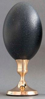 Emoe Ei - Dromaius novaehollandiae - 22 cm - 0 cm - 0 cm-, Nieuw