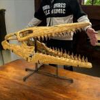 Mosasaurus - Fossiele schedel - Hainosaurus ( Tylosaur ) -