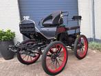 Leon trainer menwagen koets recreatiewagen Nieuw, Nieuw, Overige typen, Paard