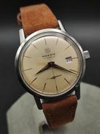 Moeris - Grands Prix - Zonder minimumprijs - Heren -, Nieuw