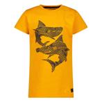 Orange Stars T-shirt Jongens maat 74, Nieuw, Verzenden