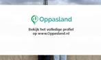 Ik ben Megan, 19 jaar oud en ik zoek oppaswerk in Oud-Bei...