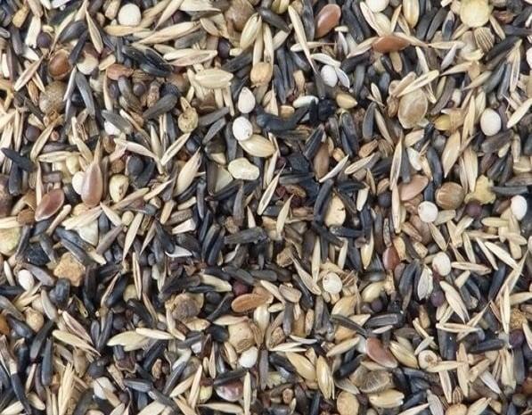 Jan Koenings Kapoetsensijzen zaadmengeling - Kapoetsensijzen, Dieren en Toebehoren, Vogels | Toebehoren, Nieuw, Verzenden