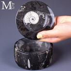 Ronde sieradendoos - fossiele matrix met ammoniet en, Verzamelen