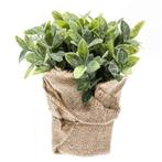 Kunstplant munt kruiden groen in jute pot 19 cm  - Overige.., Huis en Inrichting, Kamerplanten, Ophalen of Verzenden
